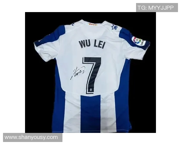 寻找足球明星球衣图片分享与交流的平台与资源推荐