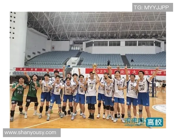 武汉排球队在全国排球配合排行榜中荣获第三名展现出强大实力与团队默契